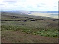 Moorland south-east of Meldon Hill in DL12 0JA
