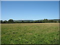 Field north-west of Draycott in BS27 3RU