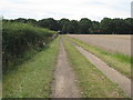 Farm track to Thorney Brown Wood in Thorney