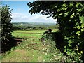 Footpath and view towards Lampeter Velfrey in Lampeter Velfrey Community