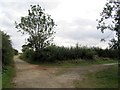 Track junction south-east of Gretton in NN17 3GD