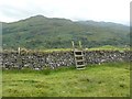 A useful stile over a deer fence in FK21 8UA