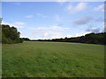Grass and woodland near Eastridge House in SN8 2HJ