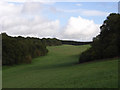 Wooded valley near Crooked Soley in SN8 2HJ