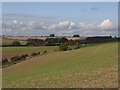 Looking north from Green Hill in SN8 2DJ