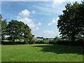 Upper Froyle Cemetery: looking towards the Beck grave in GU34 4LB