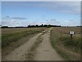 Track to Ash Holt in Kirkby la Thorpe & South Kyme Ward