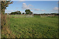 Paddocks at Whatton in Aslockton