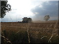 Combine harvesting on an August evening in SY8 2LL