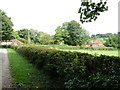 View from the churchyard gates at Shalden in Bentworth & Froyle Ward