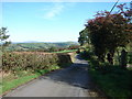 Country lane near Llangwyryfron in SY23 4SR