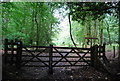 Gate across the Sussex Border Path in GU27 3TE