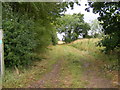 Footpath to Newtown & New Road in IP13 7PA
