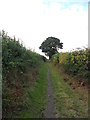 Footpath near Silkstone in S75 4NU