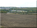 Farmland towards the A57 in S26 2GN