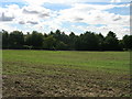 Farmland off Newhall Lane in S66 8PT