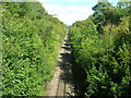 Railway towards Doncaster in S66 7JN
