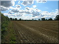 Farmland off Ruddle Lane in S66 7SL