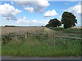 Farmland alongside Thorney Dyke in PE6 0UG