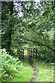 Bridle bridge on Arbrook Common in KT10 9HJ