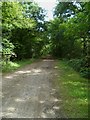 Lion's Lane looking east in Cranleigh West Ward