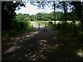 Farm track north off Lion's Lane in Cranleigh West Ward
