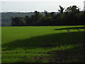Farmland above Chilton Foliat in RG17 0TJ