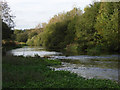 The River Kennet in RG17 0TG