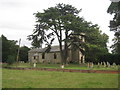 Cedar tree and the church of St. Peter and St. Paul, Kettlethorpe in Kettlethorpe