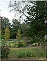 Flower beds and monkey puzzle, Golden Acre Park in LS16 9JY