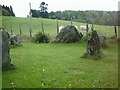 Tigh Na Ruaich Stone Circle in PH9 0NA