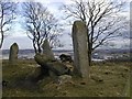 Tyrebagger Stone Circle in AB21 0HE
