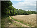 Footpath 2940 by Naldretts Copse in RH14 0AS