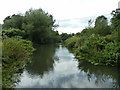 River Rother at Stedham Mill in GU29 0QA