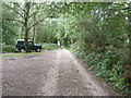 Land Rover hiding behind tree on Pound Common in GU29 0QJ