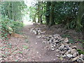 Dry stone retaining wall under repair on the edge of Pond Common in GU29 0BL