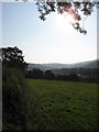 The Yeo Valley to the East of Pitt Farm in EX31 4JG