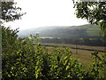 Easterly View up the Yeo Valley in EX31 4JG