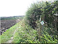 Footpath near East Rainton in DH5 9SF
