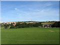 Cricket Pitch, East Brighton Park in BN2 5RG