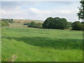 Farmland near Whiston in S60 4BY