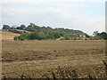 Farmland off Hellaby Lane in S66 8HN