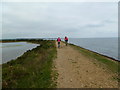 Pennington Marshes, Solent Way in SO41 8AJ