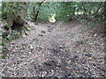 Cox's Lane passing through Upper and Lower Reynolds Wood in GU29 0PQ