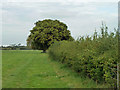 Footpath towards Stone Cross in BN22 0ZR