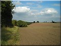 Hedgerows, footpaths, fields in NG17 7DF