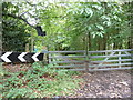Gates at the northern end of footpath 1144 in GU29 0PQ