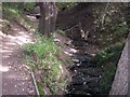 Path and brook in Dungeon Wood in CH61 2XN