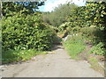 Track into woodland at the NW edge of Glynneath in Glynneath Community
