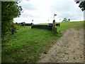 Horse jumps by footpath 1133/1 in GU29 0PX